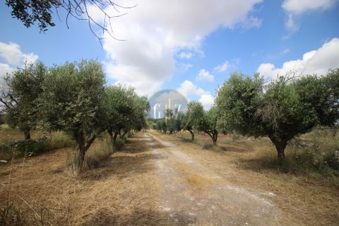 Landejendom i Calimera, Lecce, Calimera - € 135.000 | Ref:  CR001 - foto 3